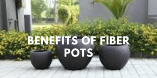 The Top 10 Benefits of Fiber Pots for Gardening Success Fiber Pots