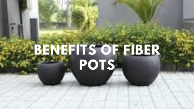 The Top 10 Benefits of Fiber Pots for Gardening Success