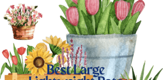 The Best Large Lightweight Pots: A Perfect Solution for Your Urban Garden Lightweight Pots