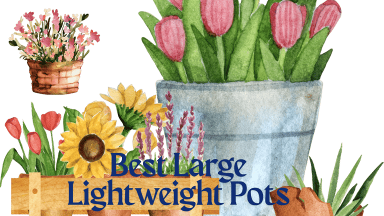 Lightweight Pots
