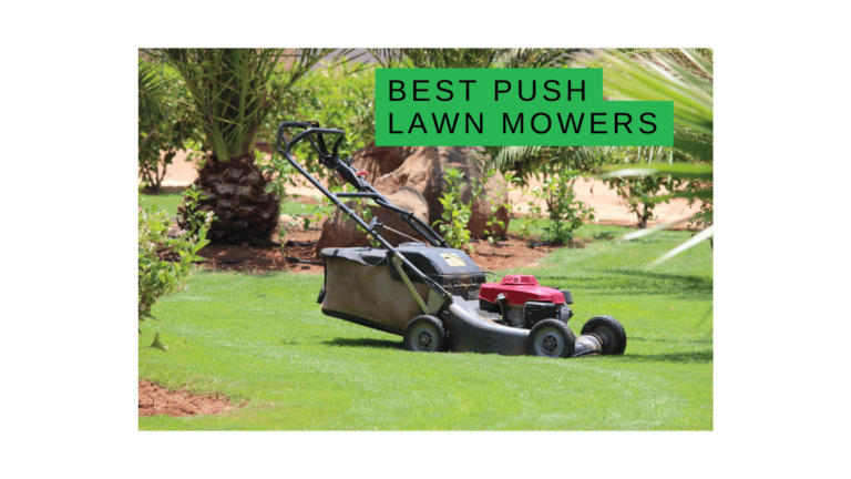 Best Push Lawn Mowers