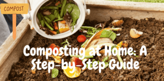 Easy Steps for Setting Up a Compost Bin in Your Apartment Compost Bin
