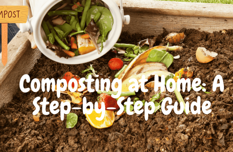 Compost Bin