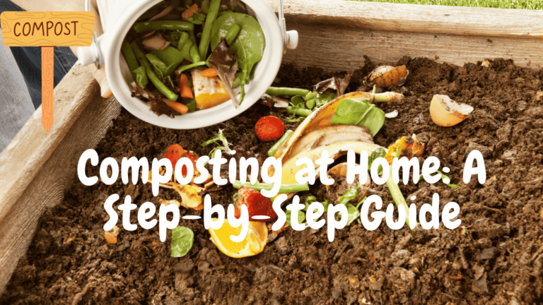 Composting at Home: A Step-by-Step Guide