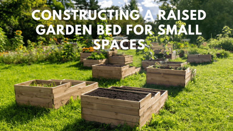 How to Constructing a Raised Garden Bed for Small Spaces