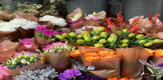 Top 50 Best Cut Flowers for Your Cutting Garden Cut Flowers