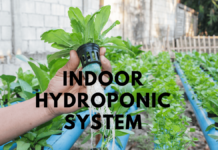5 Methods Indoor Hydroponic System Indoor Hydroponic System