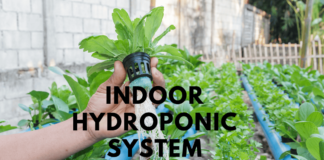 5 Methods Indoor Hydroponic System Indoor Hydroponic System