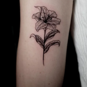 Lily Tattoo