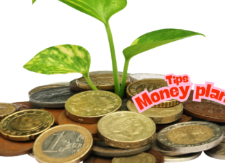 Money Tree Plant How to Care: Complete Guide money tree plant how to care