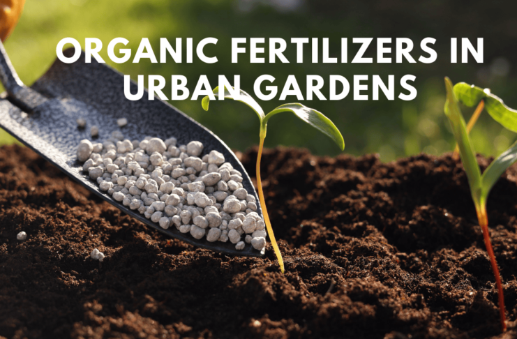 Organic Fertilizers