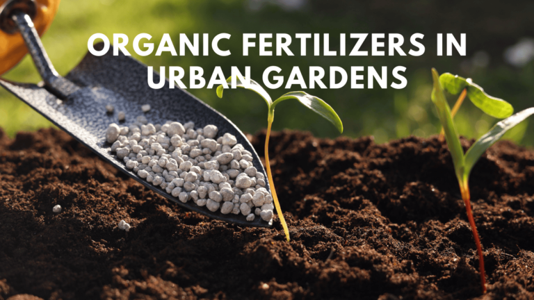Organic Fertilizers