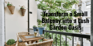 How to Transform a Small Balcony into a Lush Garden Oasis Transform a Small Balcony into a Lush Garden Oasis