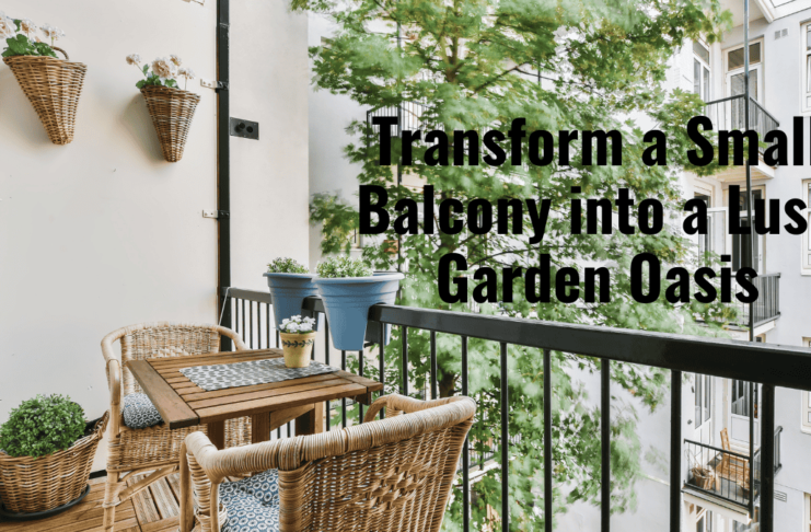 Transform a Small Balcony into a Lush Garden Oasis