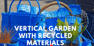 Building a Vertical Garden with Recycled Materials Vertical Garden