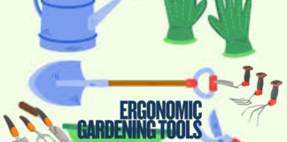 Top 10 Ergonomic Gardening Tools for Comfortable Gardening