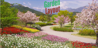 How To sketch of a flower garden sketch of a flower garden