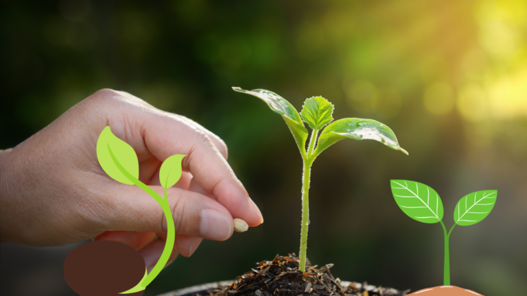 When is the best time to plant grass seed