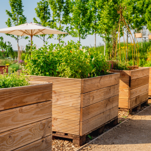 urban gardening