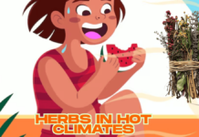 GROW HERBS in Hot Climates: Unbeatable Top 10 Tips for Growing Herbs in Hot Climates Growing Herbs in Hot Climates