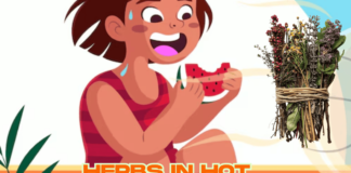 GROW HERBS in Hot Climates: Unbeatable Top 10 Tips for Growing Herbs in Hot Climates Growing Herbs in Hot Climates