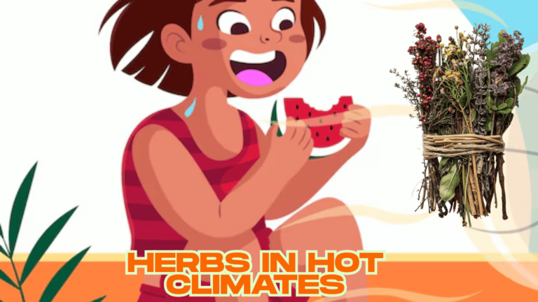 GROW HERBS in Hot Climates: Unbeatable Top 10 Tips for Growing Herbs in Hot Climates