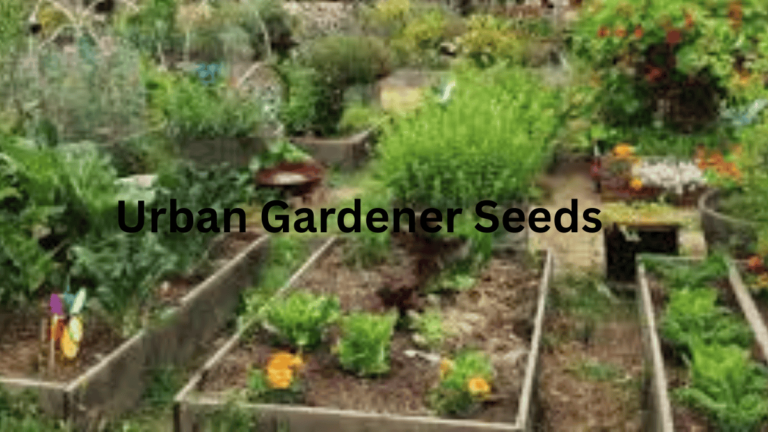 Urban Gardener Seeds