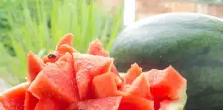 Black Diamond Watermelon: The Juicy Secret Unveiled black diamond watermelon