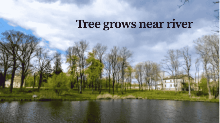 What Trees Grow Near Rivers