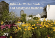 The Ultimate Guide to Urban Air Winter Gardens: A Comprehensive Overview Urban Air Winter Gardens