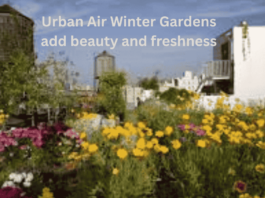 Urban Air Winter Gardens