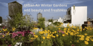 The Ultimate Guide to Urban Air Winter Gardens: A Comprehensive Overview Urban Air Winter Gardens