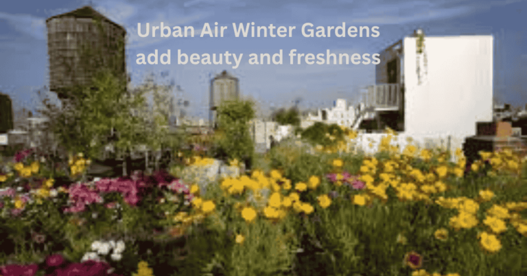 The Ultimate Guide to Urban Air Winter Gardens: A Comprehensive Overview