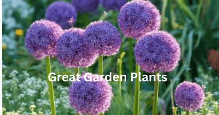 Great Garden Plants: The Ultimate Guide to Building a Beautiful and Functional Garden