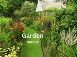 garden rescue